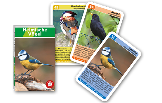 421716 Quartette Heimische Vögel Hauptbild.png