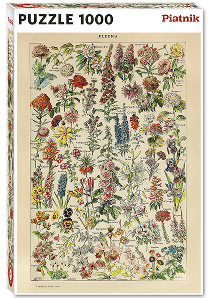 570544 Millot - Fleurs Hauptbild.png